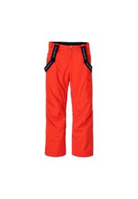 Iguana - Męskie Spodnie Narciarskie Nala. Kolor: niebieski, wielokolorowy, pomarańczowy. Sport: narciarstwo #1