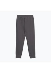 PITBULL - Spodnie męskie Pitbull Sampson Track Pants. Kolor: szary #2