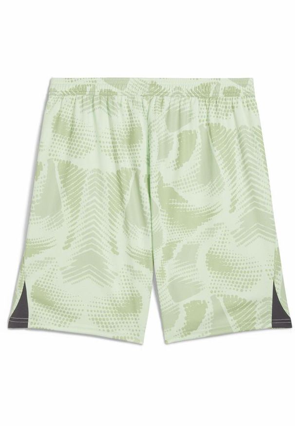 Puma - Męskie szorty bramkarskie AC Milan 24/25 PUMA Fresh Mint Green. Kolor: zielony