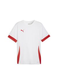 Koszulka Puma TeamGoal. Kolor: biały. Sport: piłka nożna #1