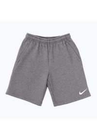 Spodenki dziecięce Nike Park 20 Short. Kolor: szary