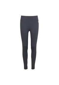 Regatta - Legginsy damskie Holeen Pro Compression. Kolor: szary. Materiał: jersey. Sport: turystyka piesza, fitness, joga i pilates
