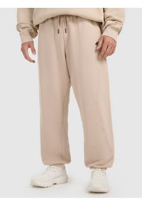 4f - 4F Spodnie dresowe joggery męskie 4F x Tomasz Fornal - beżowe L. Kolor: beżowy. Materiał: dresówka. Wzór: aplikacja. Sport: fitness #2