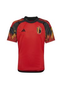 Koszulka do piłki nożnej dla dzieci Adidas Belgia Home 22. Kolor: wielokolorowy, czarny, czerwony. Wzór: aplikacja. Sport: piłka nożna