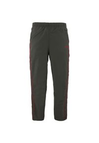 Pantalony Fila Cupula dla Mężczyzn - Komfort i Styl. Kolor: szary. Długość: długie #1