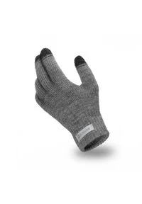 Rękawiczki męskie PaMaMi - Szary. Kolor: szary. Materiał: akryl. Sezon: zima #1