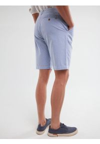 Big-Star - Szorty męskie bawełniane błękitne Gusto 401. Kolor: niebieski. Materiał: bawełna. Wzór: prążki. Styl: klasyczny, wakacyjny #4