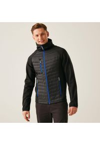 Regatta - Kurtka robocza hybrydowa męska Nagate. Kolor: szary. Materiał: puch. Sport: turystyka piesza #1