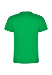 ROLY - Bawełniana Koszulka Dziecięca Dogo. Kolor: zielony. Materiał: bawełna. Sport: turystyka piesza