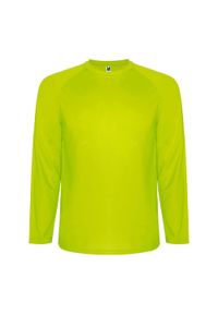 ROLY - Męska Koszulka Sportowa Z Długim Rękawem Montecarlo. Kolor: żółty. Długość rękawa: długi rękaw. Długość: długie. Sport: turystyka piesza