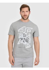 4f - 4F T-shirt regular z nadrukiem męski - szary M. Okazja: na co dzień. Kolor: szary. Materiał: materiał, dzianina, bawełna. Wzór: nadruk. Styl: casual #1