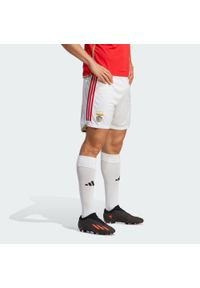 Adidas - Benfica 23/24 Home Shorts. Kolor: biały. Materiał: materiał #1