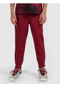4f - 4F Spodnie sportowe szybkoschnące joggery chłopięce - burgundowe 158/164 (12-14 lat). Kolor: czerwony. Materiał: dzianina, skóra. Długość: długie. Sezon: lato #2