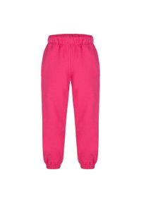 GLENMUIR - Termo Spodnie Dziecięce Doxy 152 - Ciepłe i Oddychające. Okazja: na uczelnię. Kolor: fioletowy. Materiał: dresówka, bawełna. Styl: sportowy