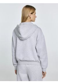 Big-Star - Bluza damska z kapturem rozpinana szara Madelina 901. Typ kołnierza: kaptur. Kolor: szary. Materiał: dzianina, dresówka. Wzór: aplikacja, haft. Styl: sportowy, elegancki