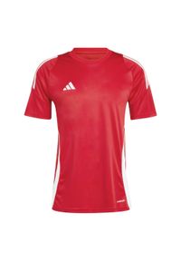 Koszulka Dorosły Adidas Tiro 24 czerwony. Kolor: czerwony, biały, wielokolorowy. Materiał: prążkowany. Długość: długie. Sport: piłka nożna #1
