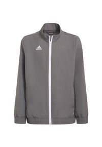 Adidas - Bluza piłkarska dla dzieci adidas Entrada 22 Presentation Jacket. Kolor: szary. Sport: piłka nożna #1
