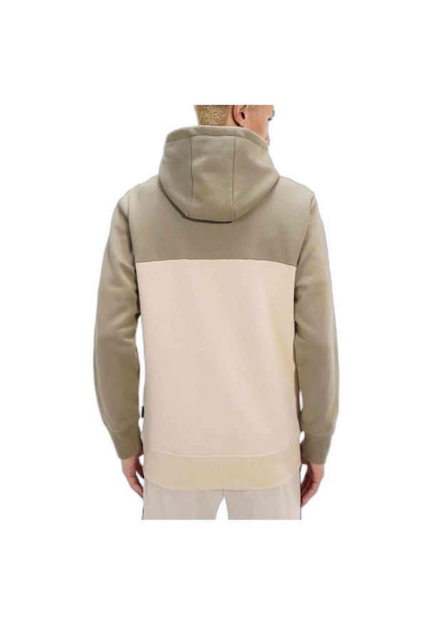 Bluza męska Ellesse Antogoni Oh Hoody. Kolor: zielony