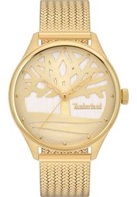 Zegarek Timberland Zegarek damski Timberland TBL.TDWLG2200302 złoty. Kolor: złoty #1