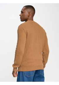Big-Star - Sweter męski klasyczny brązowy Riko 803. Okazja: na co dzień. Kolor: brązowy. Materiał: bawełna. Wzór: ze splotem, prążki. Styl: klasyczny #6