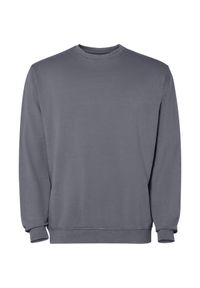 ROLY - Bluza Unisex Dla Dorosłych Jaya Z Okrągłym Dekoltem. Kolor: szary