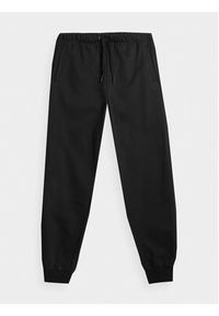 4f - 4F Spodnie dresowe 4FAW23TTROM466 Czarny Regular Fit. Kolor: czarny. Materiał: bawełna, dresówka #3