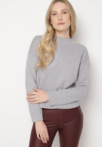 Born2be - Szary Gładki Sweter o Pudełkowym Kroju ze Stójką Unessa. Okazja: na co dzień. Typ kołnierza: kołnierzyk stójkowy. Kolor: szary. Materiał: jeans. Wzór: gładki. Styl: casual #4