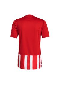 Adidas - Koszulka męska adidas Striped 21 Jersey. Kolor: biały, czerwony, wielokolorowy. Materiał: jersey. Sport: piłka nożna