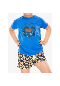 Koszulka dziecięca Helly Hansen Marka T-Shirt. Kolor: niebieski #1