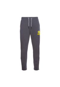 ERREA - Spodnie dziecięce Errea essential flock drake gros logo. Kolor: szary, żółty, brązowy, wielokolorowy #1