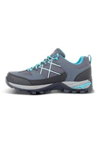 Regatta - Damskie Buty Do Chodzenia Samaris III Low. Kolor: szary, niebieski, wielokolorowy. Styl: sportowy