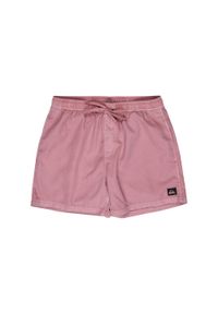 Quiksilver - Szorty kąpielowe dla Mężczyzn EVERYDAY SURFWASH VOLLEY 15" Fioletowy. Kolor: różowy. Materiał: poliester, materiał. Styl: sportowy