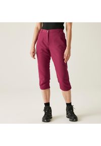 Regatta - Spodnie turystyczne damskie Chaska capri. Kolor: niebieski. Sezon: lato. Sport: turystyka piesza #1