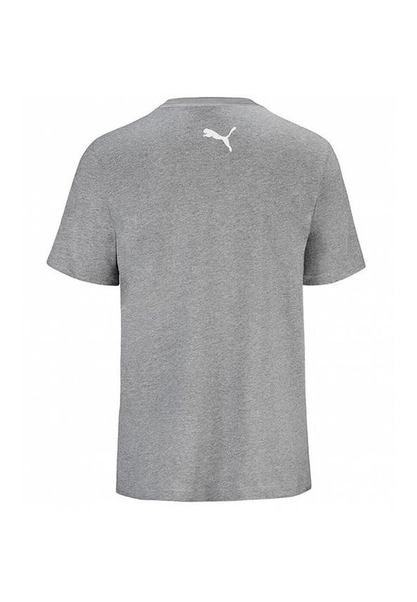 Koszulka Puma Junior Base T-shirt Navy 2-pack, Dzieci. Kolor: szary. Materiał: bawełna, materiał