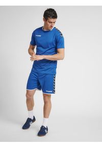 Jersey Hummel hmlAUTHENTIC Poly HML. Kolor: niebieski. Materiał: jersey. Sport: fitness