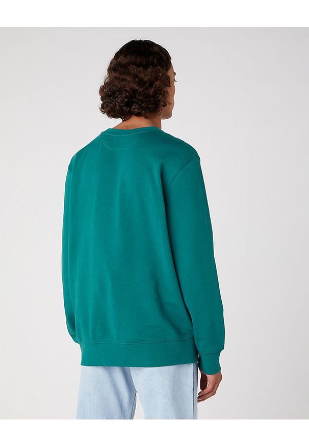 Wrangler - WRANGLER CREW NECK MĘSKA BLUZA BEZ KAPTURA LOGO CIEPŁA BAYBERRY GREEN W6H0I3G26 112331914. Typ kołnierza: bez kaptura