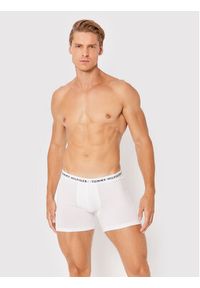 TOMMY HILFIGER - Tommy Hilfiger Komplet 3 par bokserek 3p Boxer Brief UM0UM02204 Kolorowy. Materiał: bawełna. Wzór: kolorowy #3