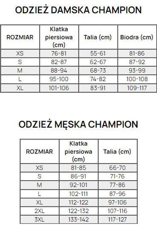 Koszulka sportowa damska Champion SS Tee. Kolor: fioletowy