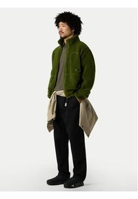 The North Face Polar Extreme Pile NF0A88Y5 Zielony Regular Fit. Kolor: zielony. Materiał: syntetyk