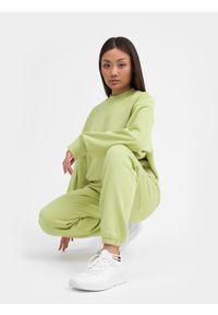 4f - Spodnie dresowe z bawełny organicznej damskie. Kolor: zielony. Materiał: bawełna, dresówka. Wzór: haft