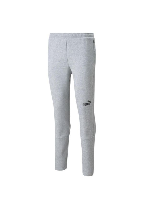 Spodnie treningowe męskie Puma teamFINAL Casuals Pants. Kolor: czarny, szary, wielokolorowy. Materiał: materiał, bawełna. Sport: piłka nożna
