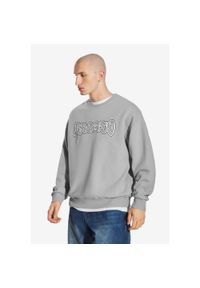 Bluza sportowa męska Prosto Graffiti Logo bez kaptura. Typ kołnierza: bez kaptura. Kolor: szary #1