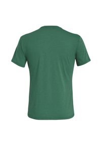 Koszulka męska Salewa Solid Logo Drirelease 27018. Materiał: jersey, bawełna, materiał, syntetyk, włókno, poliester. Długość: długie