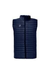 Kamizelka Acolchada Unisex Givova Grecia: Styl i Funkcjonalność. Kolor: fioletowy, wielokolorowy, czarny