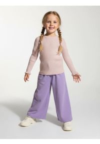 Sinsay - Prążkowany sweter - różowy. Kolor: różowy. Materiał: prążkowany #1