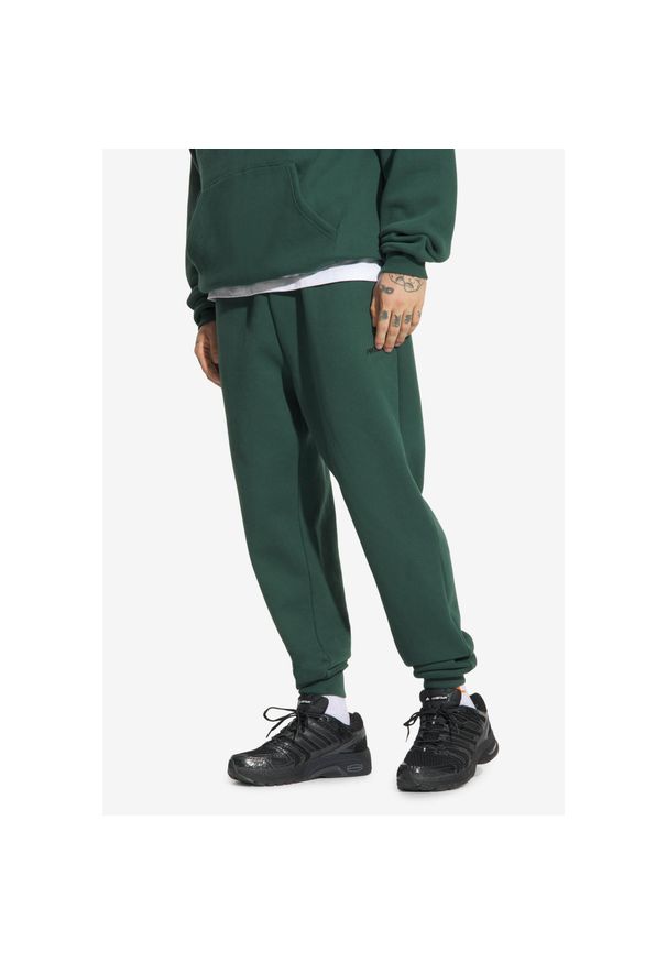 Spodnie dresowe męskie Prosto Darn. Kolor: zielony. Materiał: dresówka