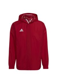 Adidas - Kurtka piłkarska męska adidas Entrada 22 All Weather Jacket. Kolor: biały, wielokolorowy, czerwony. Sport: piłka nożna #1