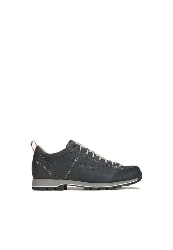 Buty trekkingowe męskie Dolomite Cinquantaquattro Low FG GTX. Kolor: niebieski