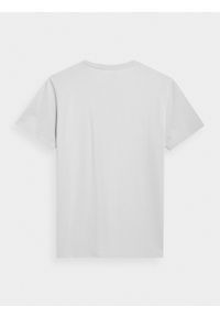 4f - T-shirt regular z nadrukiem męski. Kolor: szary. Materiał: bawełna. Wzór: nadruk