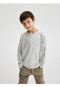 Reserved - Longsleeve oversize - jasnoszary. Kolor: szary. Materiał: dzianina, bawełna. Długość rękawa: długi rękaw